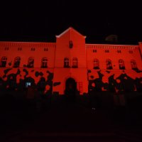 Wyświetl org. rozmiar